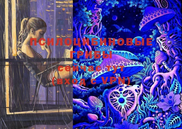 эйфоретик Горняк