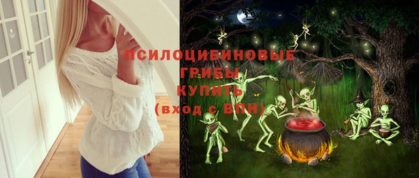эйфоретик Горняк