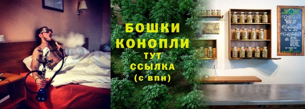 эйфоретик Горняк