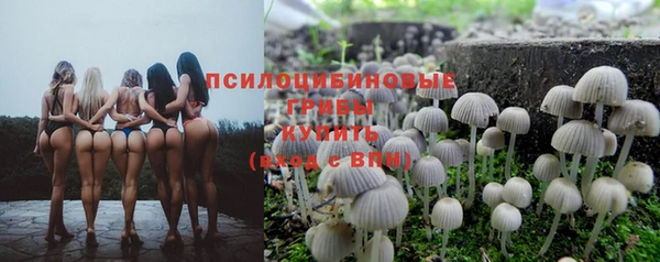 молекула духа Горно-Алтайск