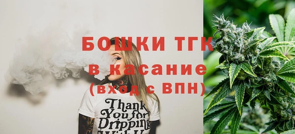 эйфоретик Горняк