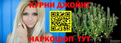трава Камышлов
