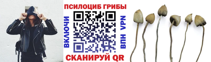 Псилоцибиновые грибы MAGIC MUSHROOMS сайты даркнета официальный сайт Можга