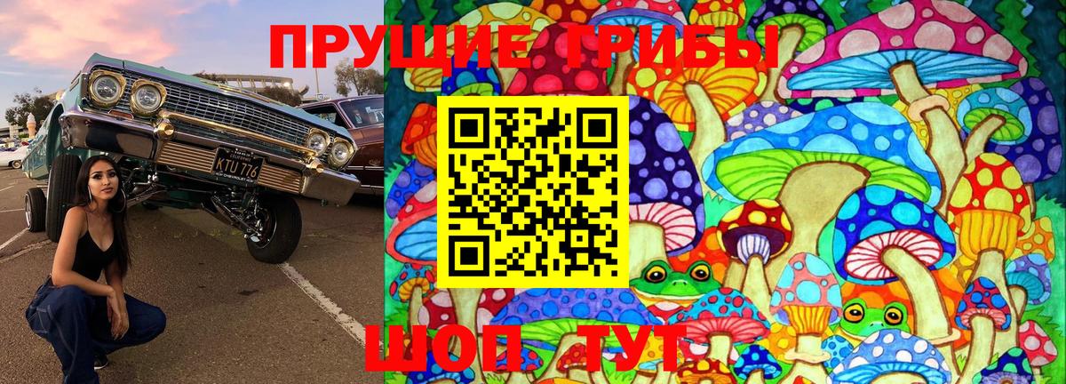 Псилоцибиновые грибы Cubensis Можга