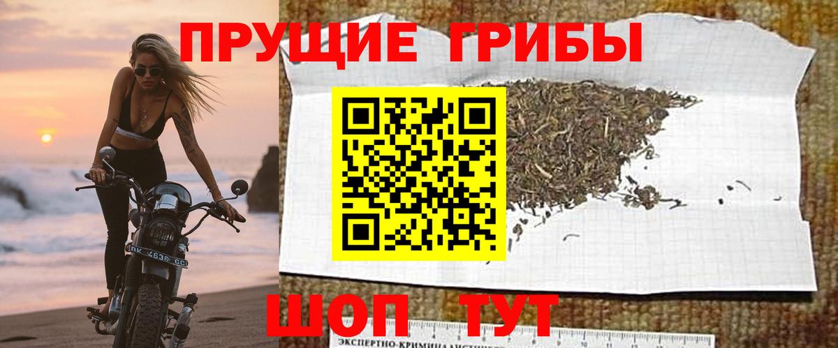 Можга  Галлюциногенные грибы GOLDEN TEACHER  Вход с VPN 