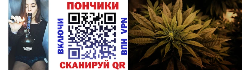 где продают наркотики  Можга  Конопля гибрид 
